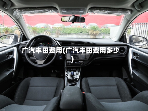 广汽丰田费用(广汽丰田费用多少)-第2张图片
