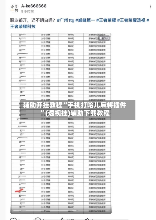 辅助开挂教程“手机打哈儿麻将插件”(透视挂)辅助下载教程-第2张图片