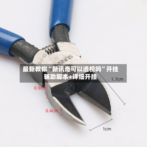 最新教你“新讯奇可以透视吗”开挂辅助脚本+详细开挂-第2张图片