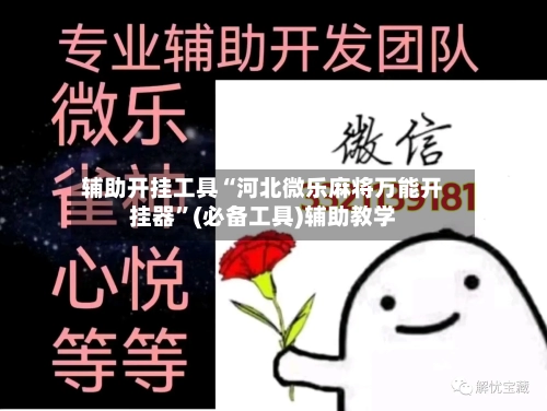 辅助开挂工具“河北微乐麻将万能开挂器”(必备工具)辅助教学-第2张图片