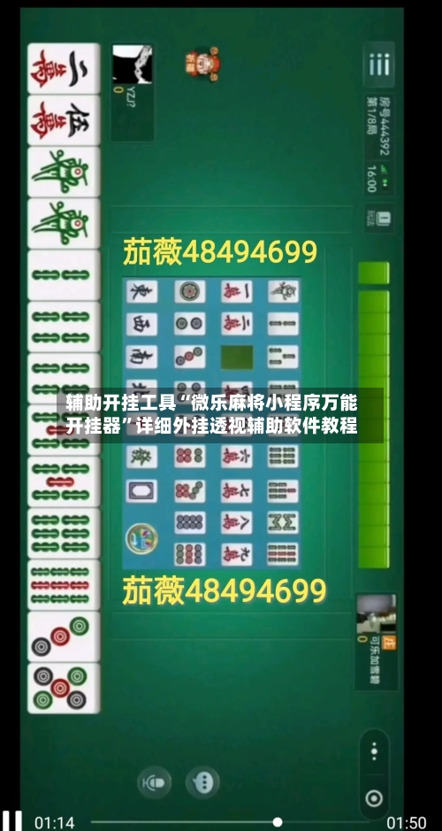 辅助开挂工具“微乐麻将小程序万能开挂器”详细外挂透视辅助软件教程-第2张图片