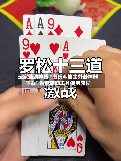 玩家辅助神器“微乐斗地主外卦神器下载”智能辅助工具使用教程-第3张图片