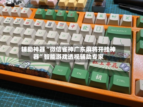 辅助神器“微信雀神广东麻将开挂神器”智能游戏透视辅助专家-第2张图片