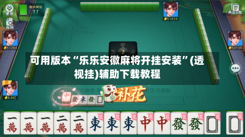 可用版本“乐乐安徽麻将开挂安装”(透视挂)辅助下载教程-第2张图片
