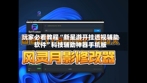 玩家必看教程“新星游开挂透视辅助软件”科技辅助神器手机版-第3张图片
