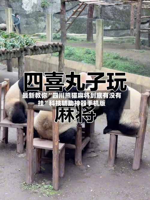 最新教你“四川熊猫麻将到底有没有挂”科技辅助神器手机版-第1张图片