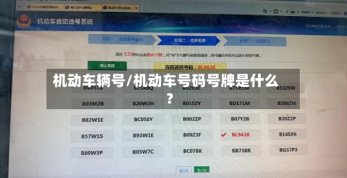 机动车辆号/机动车号码号牌是什么?-第1张图片