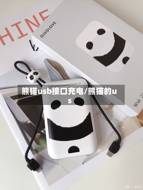 熊猫usb接口充电/熊猫的us-第1张图片