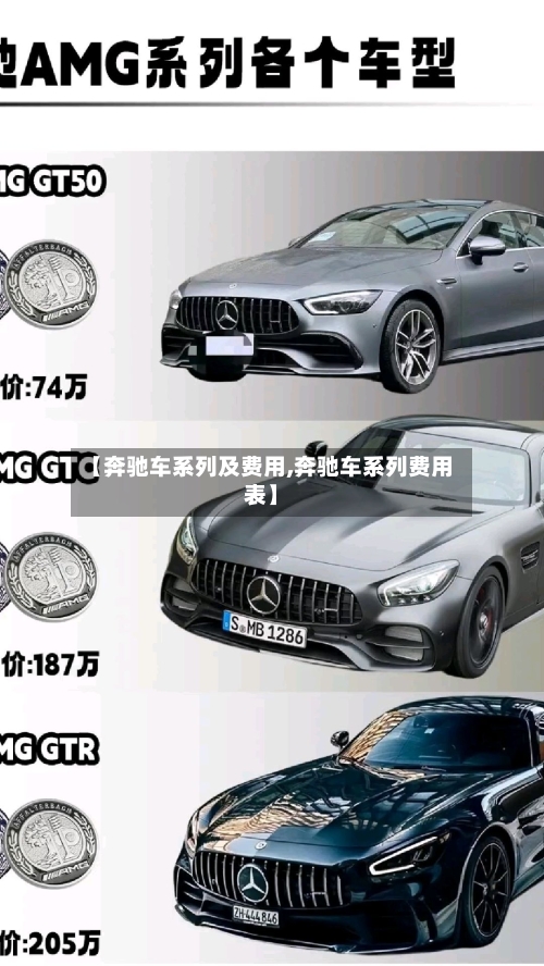 【奔驰车系列及费用,奔驰车系列费用表】-第1张图片