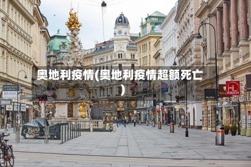 奥地利疫情(奥地利疫情超额死亡)-第2张图片