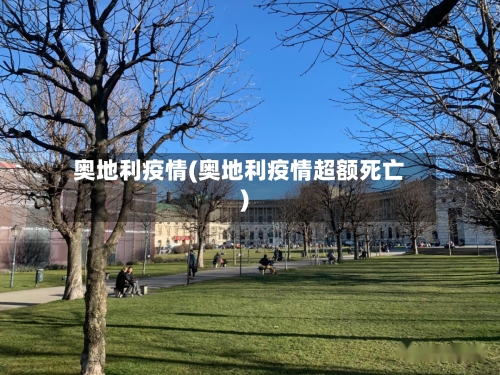 奥地利疫情(奥地利疫情超额死亡)-第1张图片
