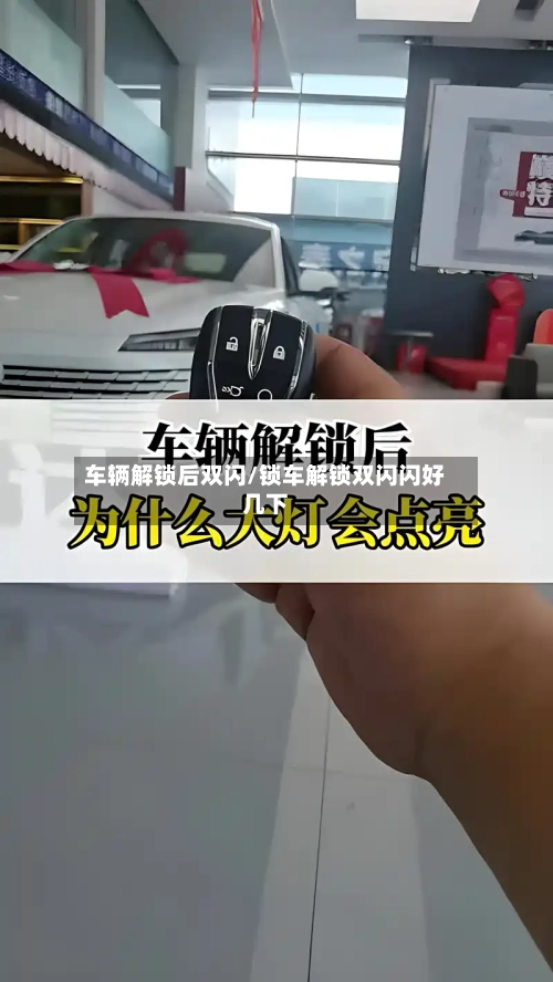 车辆解锁后双闪/锁车解锁双闪闪好几下-第1张图片
