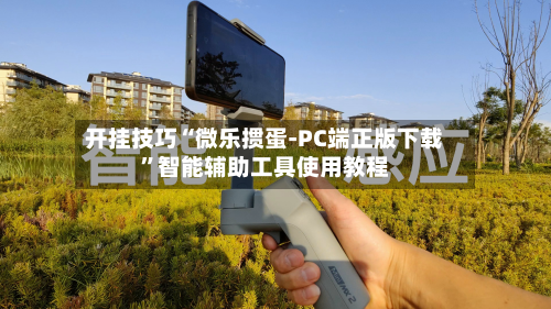 开挂技巧“微乐掼蛋-PC端正版下载”智能辅助工具使用教程-第3张图片