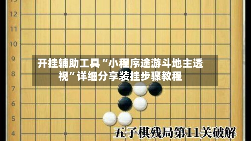 开挂辅助工具“小程序途游斗地主透视”详细分享装挂步骤教程-第2张图片