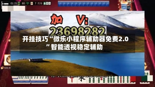 开挂技巧“微乐小程序辅助器免费2.0”智能透视稳定辅助-第2张图片