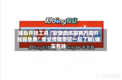 辅助开挂工具“安徽微乐麻将万能开挂器免费”专业师傅带你一起了解(确实有挂-第3张图片