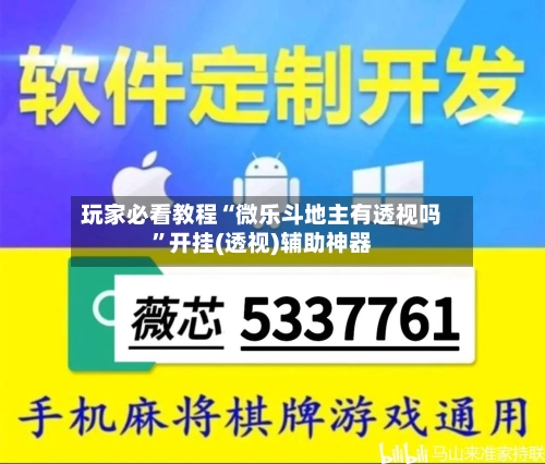 玩家必看教程“微乐斗地主有透视吗”开挂(透视)辅助神器-第3张图片