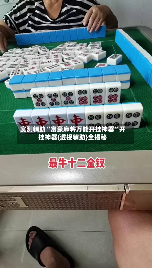 实测辅助“富豪麻将万能开挂神器	”开挂神器{透视辅助}全揭秘-第2张图片