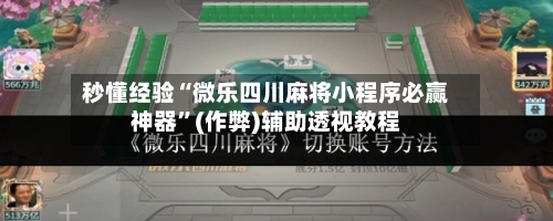 秒懂经验“微乐四川麻将小程序必赢神器	”(作弊)辅助透视教程-第2张图片