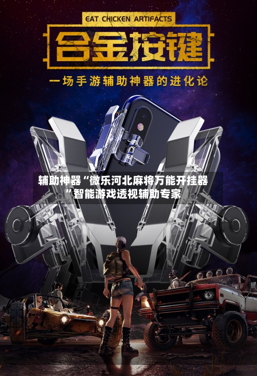 辅助神器“微乐河北麻将万能开挂器”智能游戏透视辅助专家-第2张图片