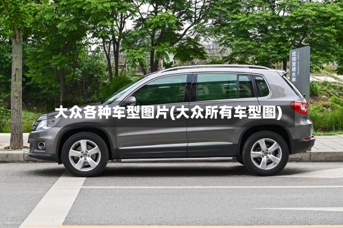 大众各种车型图片(大众所有车型图)-第1张图片