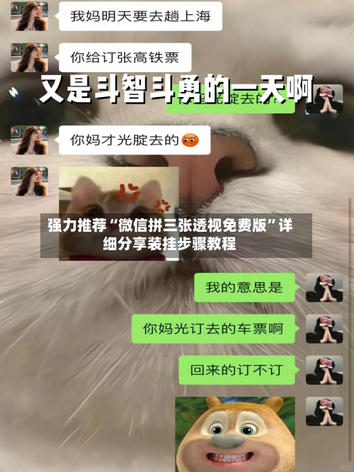 强力推荐“微信拼三张透视免费版	”详细分享装挂步骤教程-第1张图片