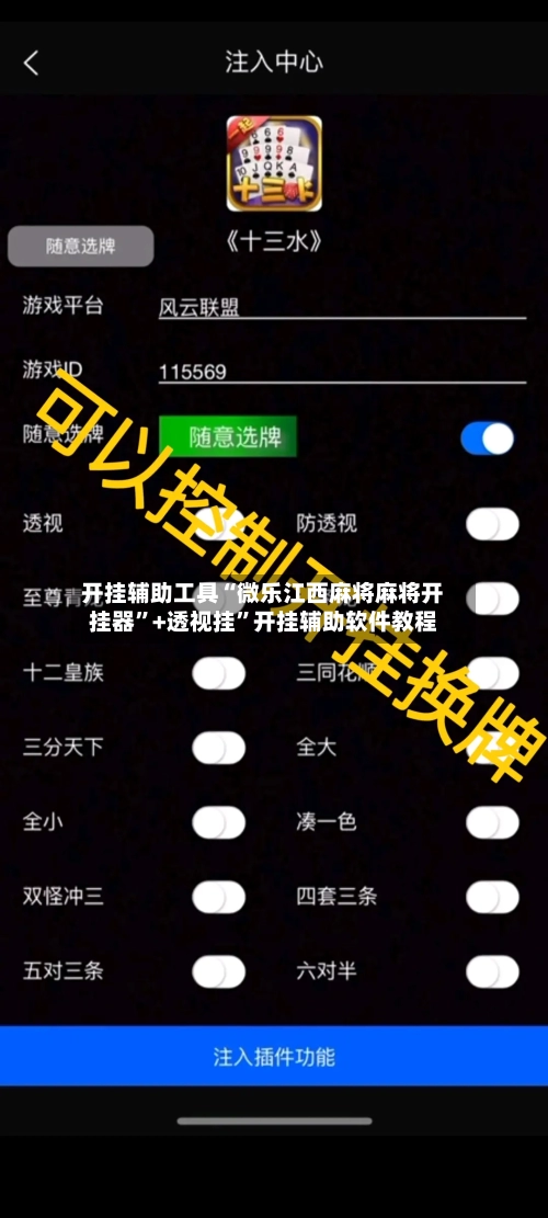 开挂辅助工具“微乐江西麻将麻将开挂器”+透视挂	”开挂辅助软件教程-第2张图片
