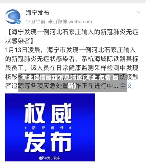 河北疫情最新消息肺炎(河北 疫情 最新)-第2张图片