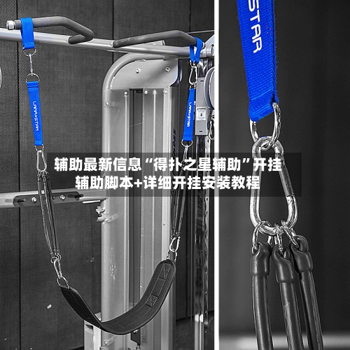 辅助最新信息“得扑之星辅助	”开挂辅助脚本+详细开挂安装教程-第1张图片