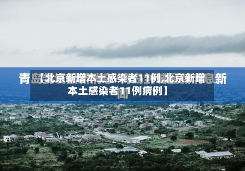 【北京新增本土感染者11例,北京新增本土感染者11例病例】-第2张图片