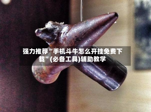 强力推荐“手机斗牛怎么开挂免费下载	”(必备工具)辅助教学-第1张图片