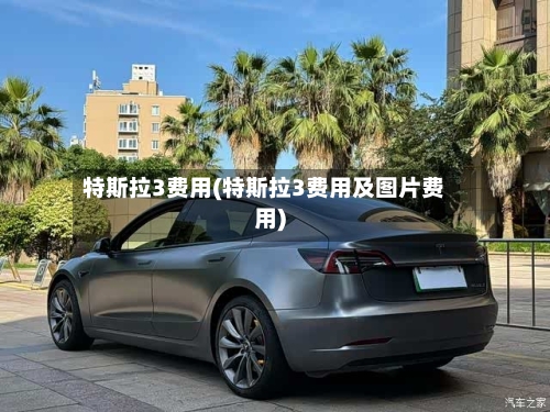 特斯拉3费用(特斯拉3费用及图片费用)-第3张图片