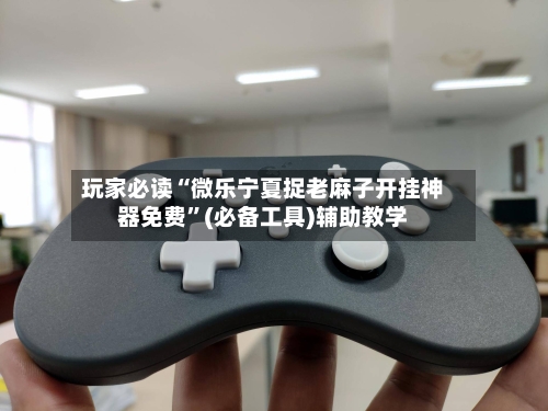 玩家必读“微乐宁夏捉老麻子开挂神器免费	”(必备工具)辅助教学-第2张图片