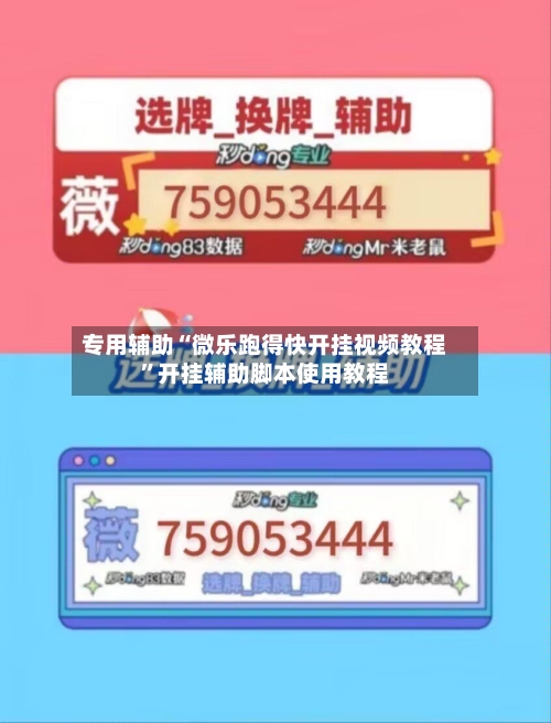 专用辅助“微乐跑得快开挂视频教程”开挂辅助脚本使用教程-第2张图片