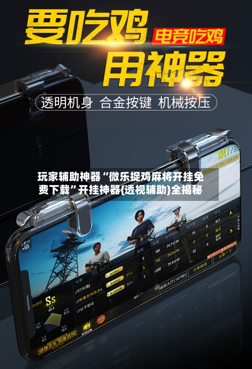 玩家辅助神器“微乐捉鸡麻将开挂免费下载”开挂神器{透视辅助}全揭秘-第3张图片