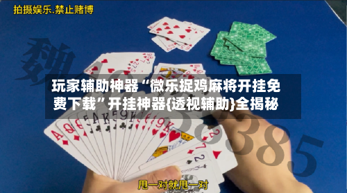 玩家辅助神器“微乐捉鸡麻将开挂免费下载”开挂神器{透视辅助}全揭秘-第2张图片