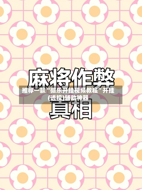 推荐一款“微乐开挂视频教程”开挂(透视)辅助神器-第2张图片