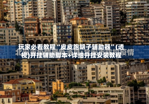 玩家必看教程“皮皮跑胡子辅助器”(透视)开挂辅助脚本+详细开挂安装教程-第2张图片