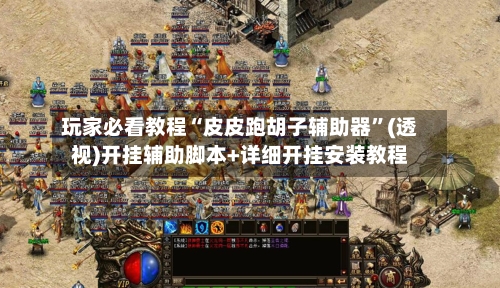 玩家必看教程“皮皮跑胡子辅助器	”(透视)开挂辅助脚本+详细开挂安装教程-第1张图片
