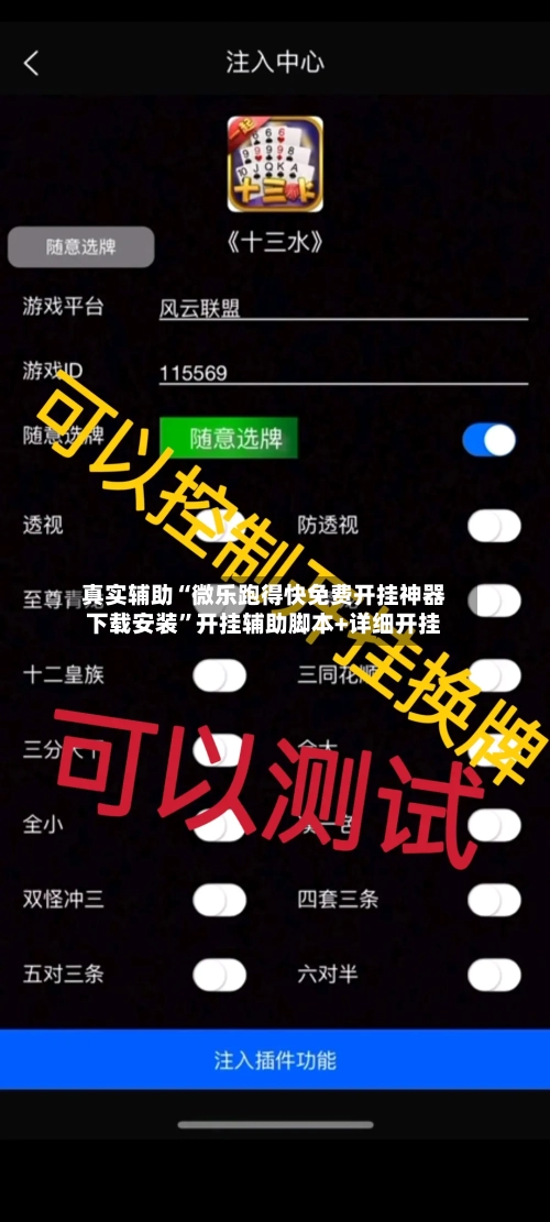 真实辅助“微乐跑得快免费开挂神器下载安装	”开挂辅助脚本+详细开挂-第2张图片