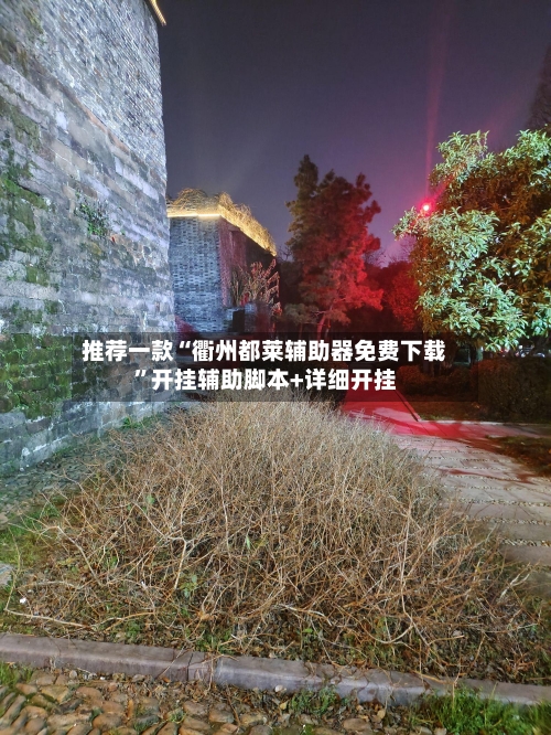 推荐一款“衢州都莱辅助器免费下载	”开挂辅助脚本+详细开挂-第2张图片
