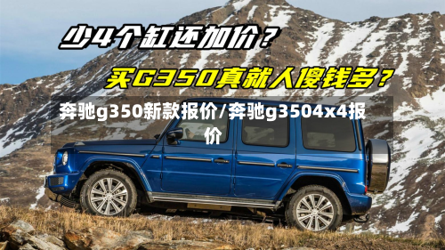 奔驰g350新款报价/奔驰g3504x4报价-第3张图片