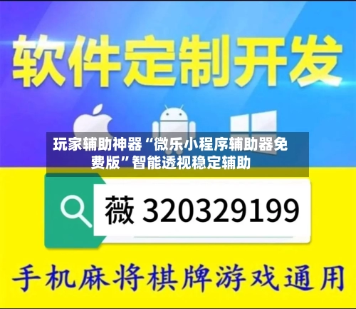 玩家辅助神器“微乐小程序辅助器免费版	”智能透视稳定辅助-第2张图片