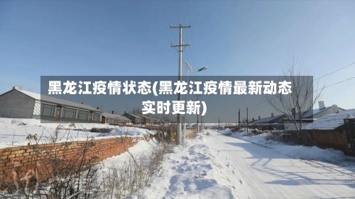 黑龙江疫情状态(黑龙江疫情最新动态实时更新)-第2张图片