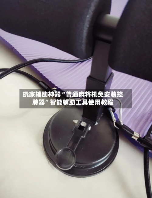 玩家辅助神器“普通麻将机免安装控牌器	”智能辅助工具使用教程-第1张图片