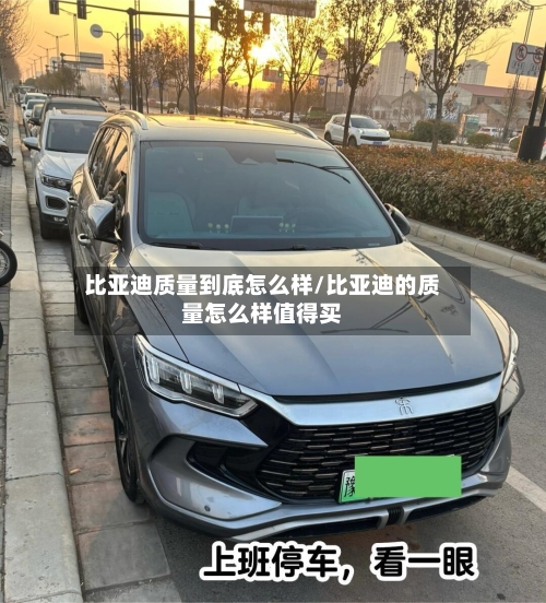 比亚迪质量到底怎么样/比亚迪的质量怎么样值得买-第2张图片