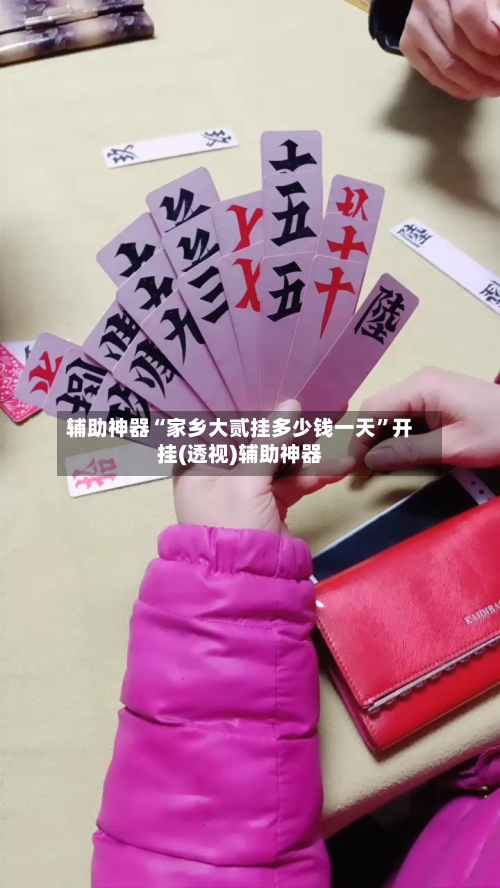 辅助神器“家乡大贰挂多少钱一天”开挂(透视)辅助神器-第1张图片