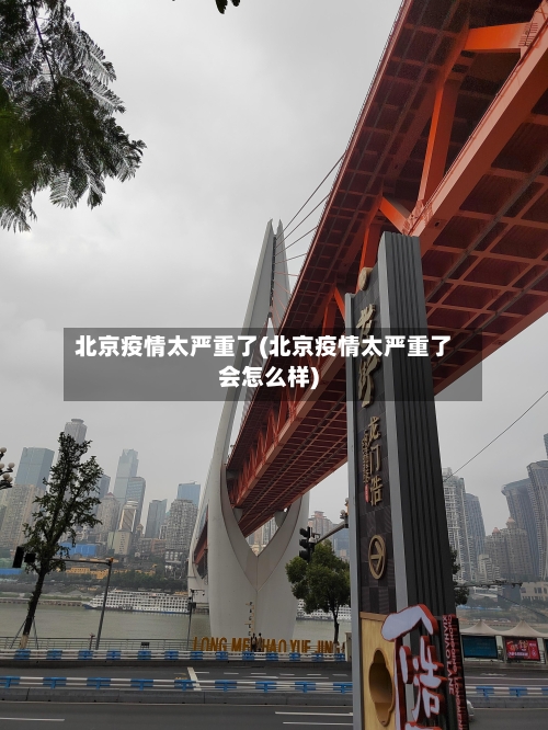 北京疫情太严重了(北京疫情太严重了会怎么样)-第2张图片