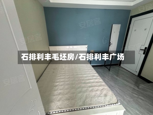 石排利丰毛坯房/石排利丰广场-第2张图片