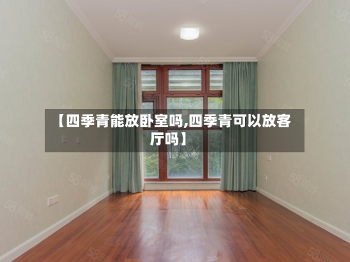 【四季青能放卧室吗,四季青可以放客厅吗】-第2张图片